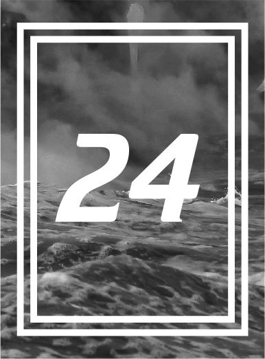 Piranha _27.jpg