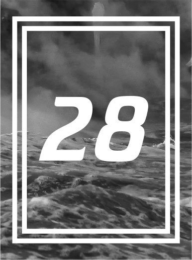 Piranha _31.jpg
