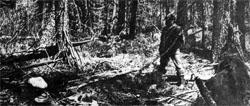 Журнал «Вокруг Света» №03 за 1973 год TAG_img_cmn_2007_07_20_018_jpg275896