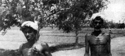 Журнал «Вокруг Света» №03 за 1973 год TAG_img_cmn_2007_07_19_033_jpg446770