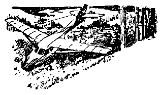 Над Тиссой (илл. Б. Козловского) pic_26.png