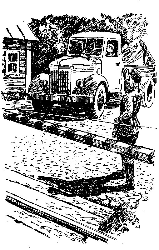 Над Тиссой (илл. Б. Козловского) pic_32.png