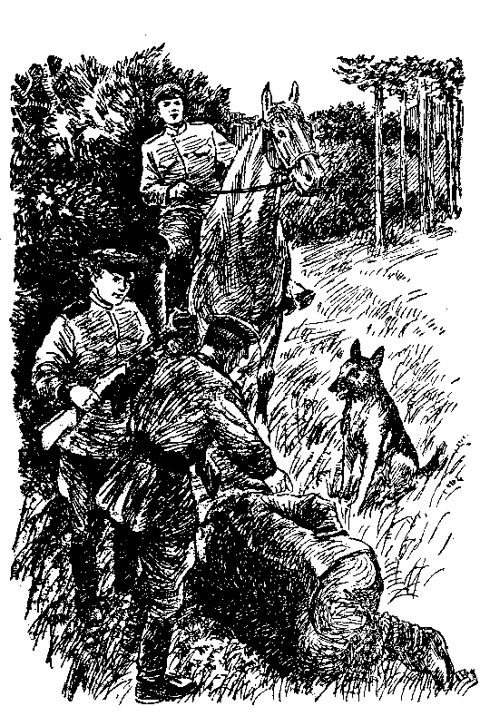 Над Тиссой (илл. Б. Козловского) pic_23.png