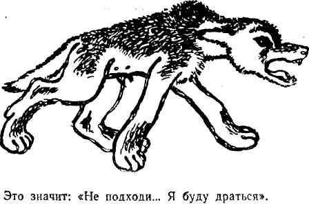 Полковник Коршунов (сборник с рисунками автора) img_23.jpeg