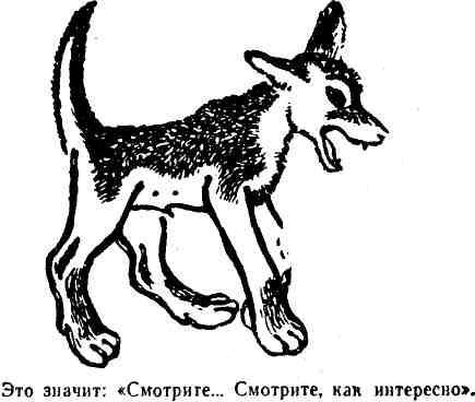 Полковник Коршунов (сборник с рисунками автора) img_24.jpeg