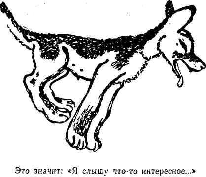 Полковник Коршунов (сборник с рисунками автора) img_25.jpeg