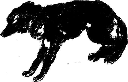 Полковник Коршунов (сборник с рисунками автора) img_27.jpeg