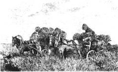 Иллюстрированная история религий i_472.jpg