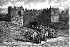 Иллюстрированная история религий i_180.jpg