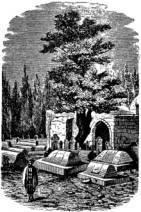 Иллюстрированная история религий i_190.jpg