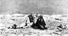 Иллюстрированная история религий i_206.jpg