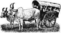 Иллюстрированная история религий i_241.jpg