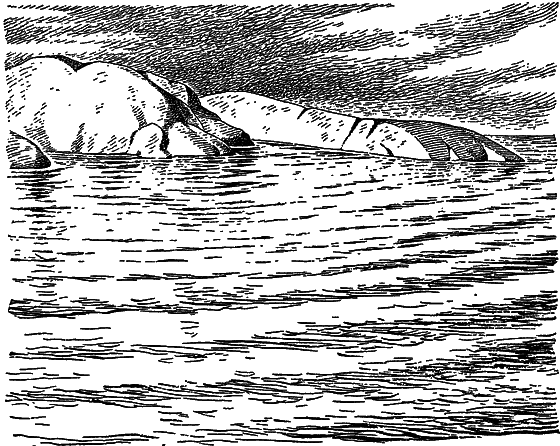 Жизнь моря i_022.png