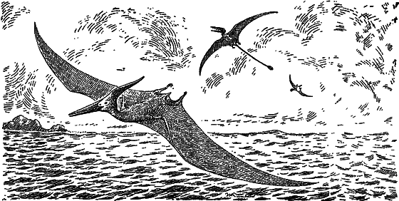 Жизнь моря i_025.png