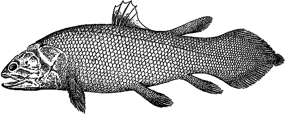 Жизнь моря i_031.png