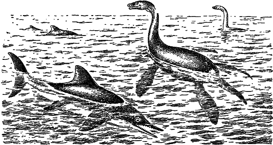 Жизнь моря i_032.png
