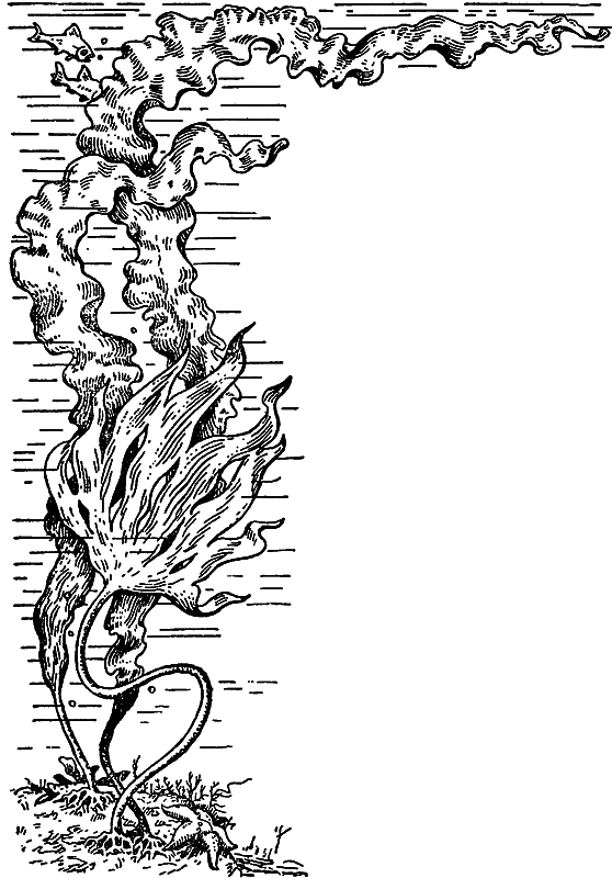 Жизнь моря i_038.png
