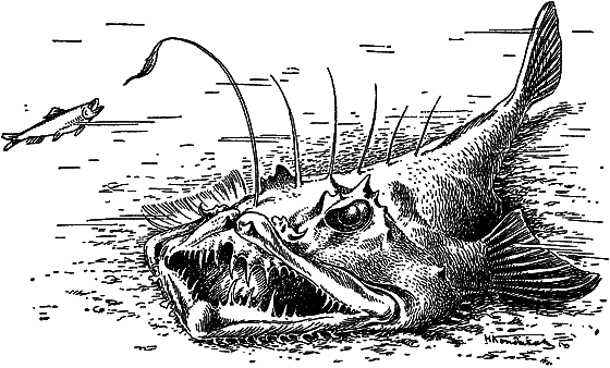 Жизнь моря i_063.png
