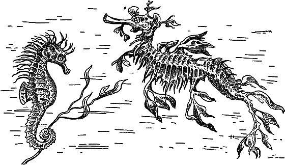 Жизнь моря i_067.png