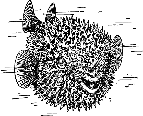 Жизнь моря i_068.png