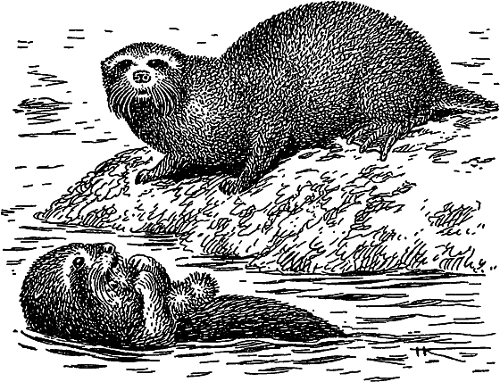 Жизнь моря i_076.png