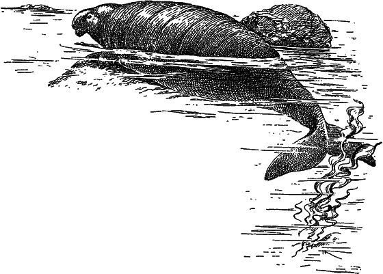 Жизнь моря i_081.png