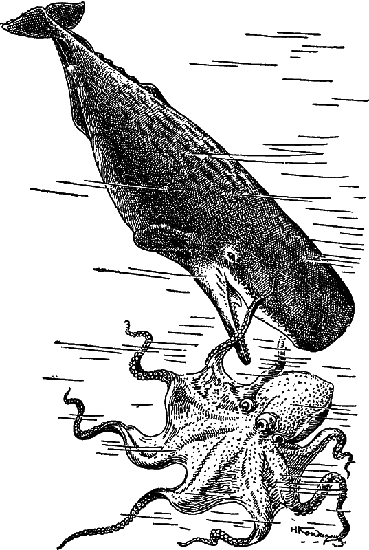 Жизнь моря i_089.png