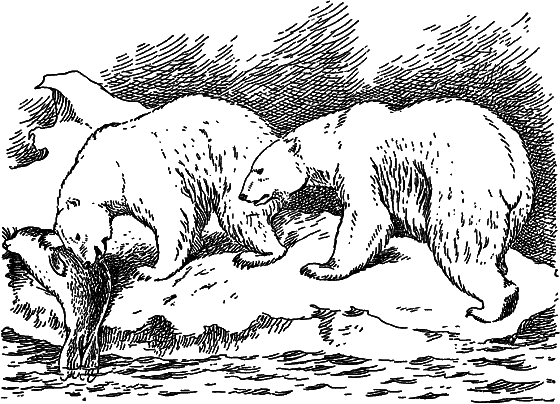 Жизнь моря i_095.png