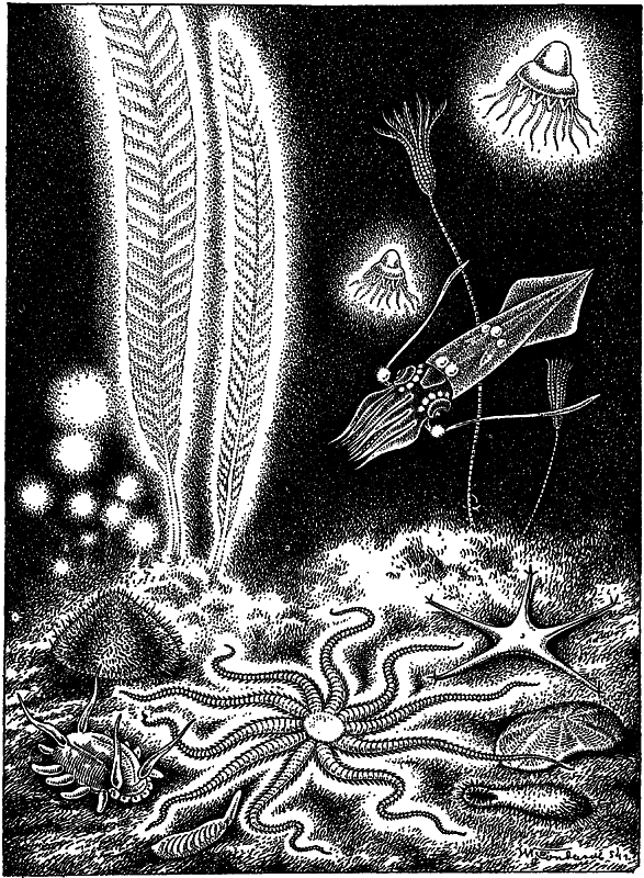 Жизнь моря i_097.png
