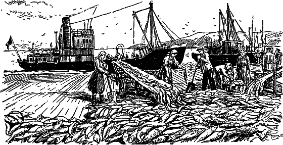Жизнь моря i_105.png