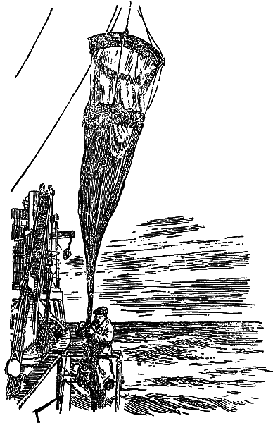 Жизнь моря i_108.png