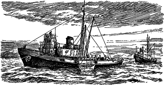 Жизнь моря i_120.png