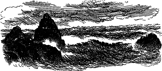 Жизнь моря i_014.png