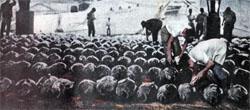 Журнал «Вокруг Света» №03 за 1979 год TAG_img_cmn_2007_10_01_044_jpg526070