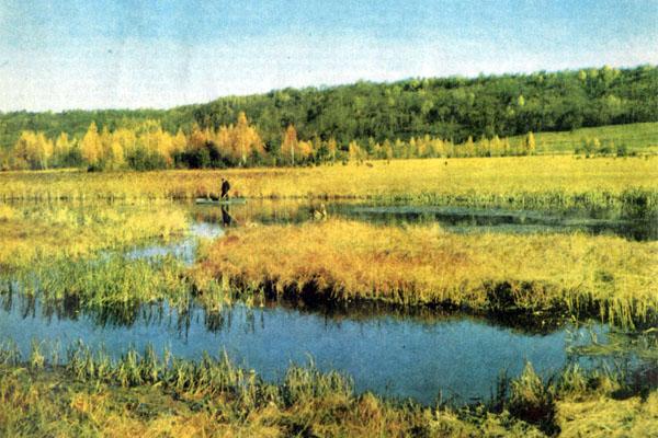 Журнал «Вокруг Света» №03 за 1979 год TAG_img_cmn_2007_10_01_028_jpg92290