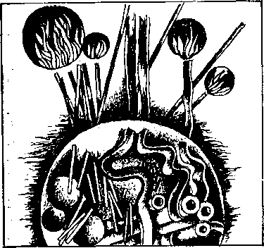 Подражающие молниям i_008.png