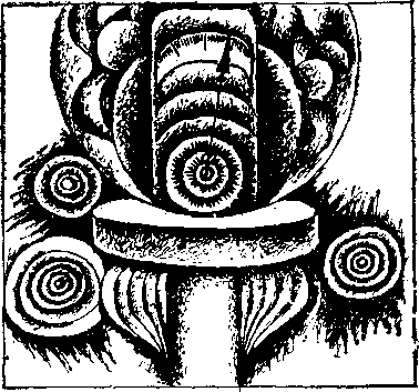 Подражающие молниям i_009.png