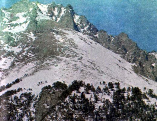 Журнал «Вокруг Света» №12 за 1987 год TAG_img_cmn_2007_04_24_034_jpg87880
