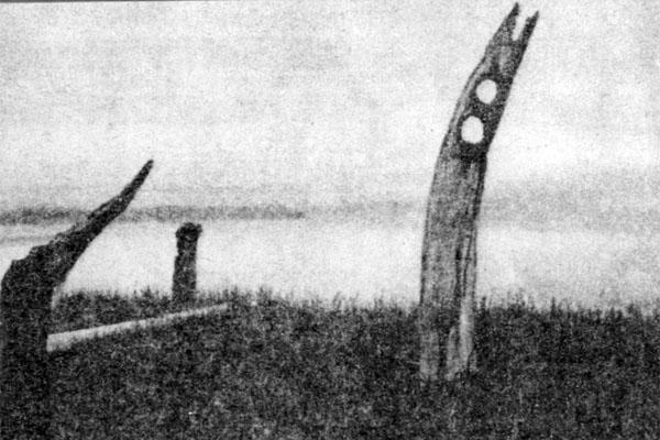 Журнал «Вокруг Света» №02 за 1979 год TAG_img_cmn_2007_09_30_019_jpg192745