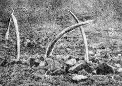 Журнал «Вокруг Света» №02 за 1979 год TAG_img_cmn_2007_09_30_020_jpg475477