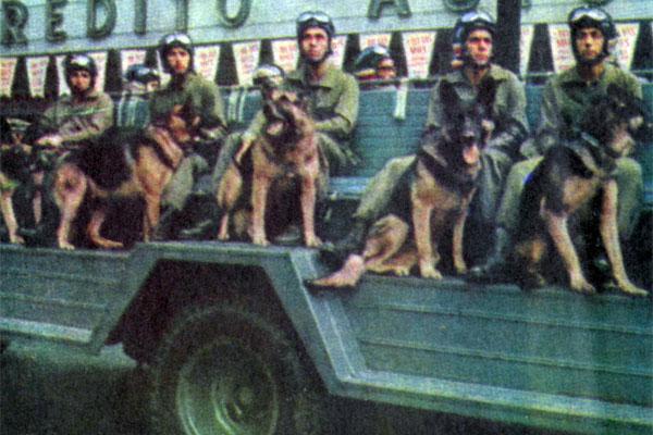Журнал «Вокруг Света» №02 за 1979 год TAG_img_cmn_2007_09_29_033_jpg327788