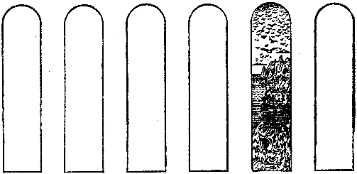 Три кварка (сборник) pic_11.png