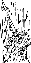 Пояс жизни pic_32.png