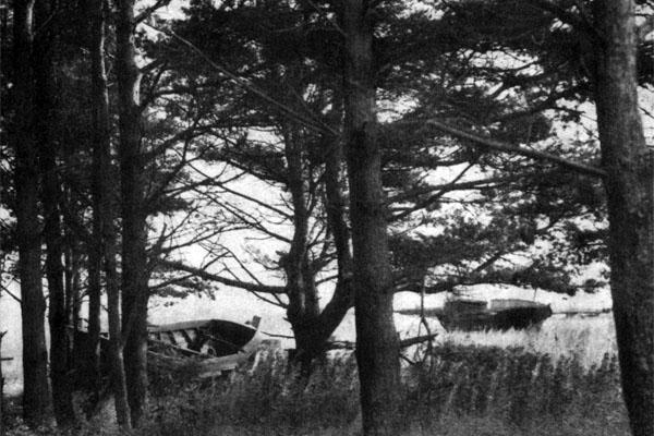 Журнал «Вокруг Света» №01 за 1979 год TAG_img_cmn_2007_09_29_011_jpg11436