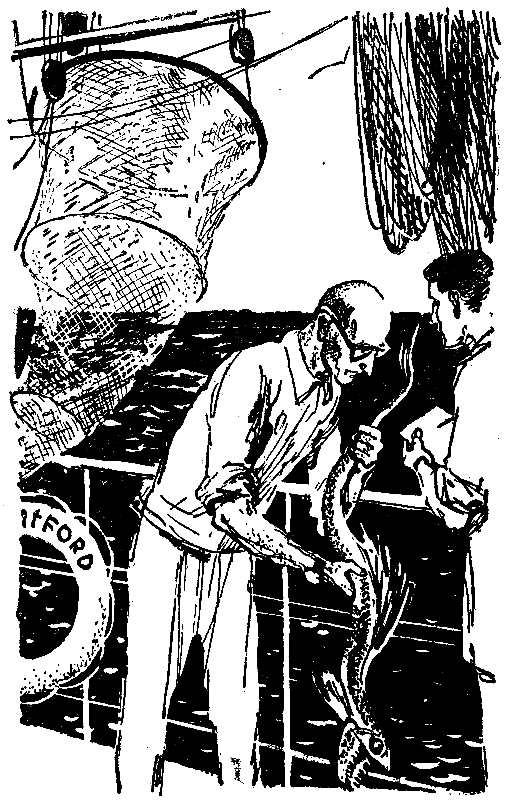 Маракотова бездна (илл. Н. Гришина) pic_4.png
