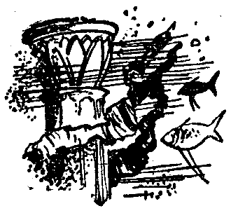 Маракотова бездна (илл. Н. Гришина) pic_10.png