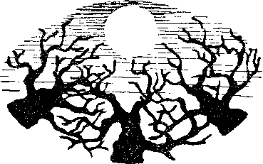 Янус (сборник) img_0.png