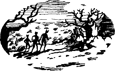 Янус (сборник) img_1.png