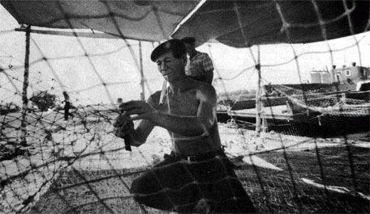 Журнал «Вокруг Света» №09 за 1987 год TAG_img_cmn_2007_04_21_009_jpg719053
