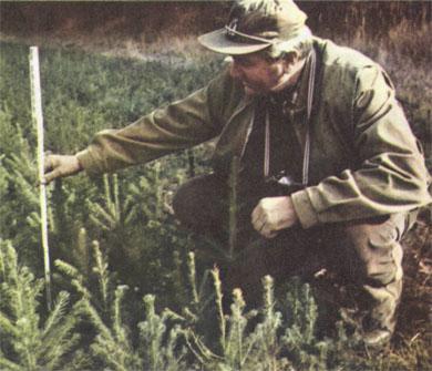 Журнал «Вокруг Света» №05 за 1985 год TAGhttp___www_vokrugsveta_ru_img_cmn_2007_03_20_033_jpg279128